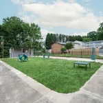 Dog Park