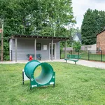 Dog Park