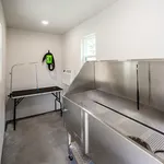 Pet Spa