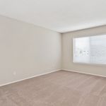 Bright and airy bedroom with soft carpet flooring, large window, and neutral walls, perfect for personal touch and comfort.