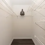 Spacious and well-lit walk-in closet with sleek wire shelving and stylish decor accent.