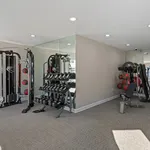 Modern fitness center with versatile gym equipment, mirrored walls, and ample lighting perfect for wellness enthusiasts.