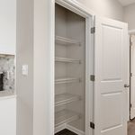 Modern apartment featuring a spacious pantry with sleek shelving, adjacent to a stylish kitchen with chic backsplash.