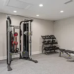 Modern fitness room equipped with a versatile exercise machine, complete dumbbell set, and sleek workout bench in a bright and inviting space.
