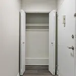 Spacious entryway closet with sleek double doors, perfect for organizing and maximizing storage space.