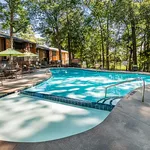 Inviting outdoor pool area with sunlit water surrounded by lush trees and cozy seating, perfect for relaxation and leisure.