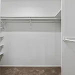 Spacious walk-in closet with white walls and carpeted flooring, perfect for ample storage and organization.