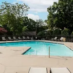 Inviting outdoor pool surrounded by lush greenery and comfortable lounge chairs, perfect for relaxation and leisure.