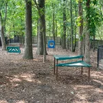 Inviting outdoor play area nestled in a lush forest setting, featuring modern playground equipment and spacious, natural surroundings.