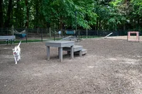 Charming dog park with agility equipment and lush green surroundings, perfect for pets and owners to enjoy the outdoors.