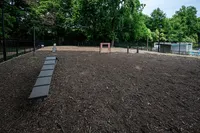 Spacious and inviting outdoor dog park featuring agility equipment surrounded by lush greenery, perfect for pet-friendly living.