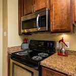 Modern kitchen with sleek stainless steel appliances, elegant wooden cabinetry, and a spacious granite countertop featuring a stylish juicer and utensil holder.