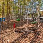 Charming dog park surrounded by trees, featuring a cozy bench with paw prints and playful agility equipment.