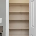 Spacious built-in pantry with multiple shelves, perfect for organized storage in a modern kitchen setup.