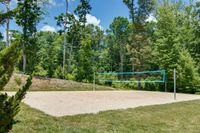 Volleyball Court