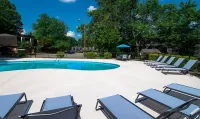 Pool Deck