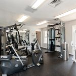 Bright and modern fitness center featuring state-of-the-art exercise equipment, perfect for a comprehensive workout experience.