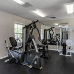 Contemporary home gym with modern fitness equipment, featuring exercise bike and weight machines, surrounded by mirrored walls and natural light.