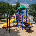 Vibrant playground with colorful slides and climbing structures surrounded by lush trees, perfect for family fun and outdoor adventures.