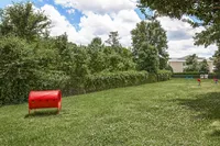 Bark Park