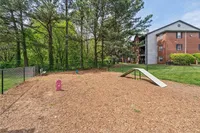 Bark Park