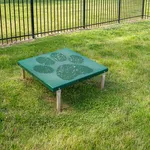 Dog Park