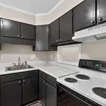 Modern kitchen featuring sleek dark cabinetry, elegant countertops, and an energy-efficient stove.