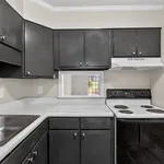 Modern kitchen with sleek black cabinets, white countertops, and electric stove, offering a stylish and functional cooking space.