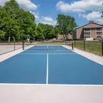 Pickleball Court