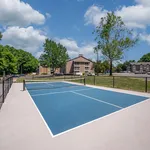 Pickleball Court