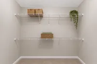 Spacious walk-in closet with elegant wire shelving, wicker baskets, and a decorative plant, ideal for organized living.
