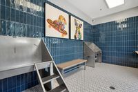 Pet Spa