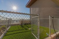 Off-Leash Fun Starts Here Bright rooftop terrace with green artificial turf, surrounded by a secure chain-link fence, under a clear blue sky.