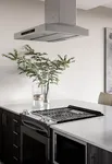 Modern kitchen design featuring a sleek stainless steel range hood, elegant dark cabinetry, and a minimalist countertop with greenery.