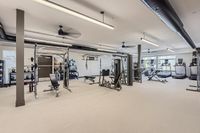Fully Equipped for Every Workout State-of-the-art fitness center with modern gym equipment, featuring a variety of cardio machines and weight stations.