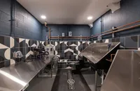 Modern pet grooming room with geometric tile design, featuring stainless steel counters and an ergonomic washing station.