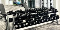Fitness on Your Schedule Modern fitness center with an extensive collection of free weights and exercise equipment for a full-body workout.