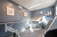 Clean Pets, Happy Homes Modern pet grooming room with professional equipment, sleek design, and natural lighting.