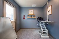 Treat Your Pup to a Spa Day Chic utility room with sleek grey walls, modern grooming station, stylish wall art, and convenient shelving.