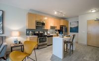 Style That Flows from Kitchen to Table Modern apartment kitchen with sleek cabinetry, stainless steel appliances, and chic lighting. Cozy seating area with stylish decor complements the open layout.