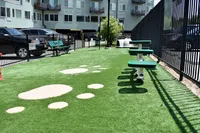 Bark Park Adventures Await Charming dog park with vibrant green turf, playful stepping stones, and modern benches, perfect for pet-friendly living.