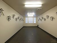Spacious indoor bike storage room with secure wall-mounted hooks and ample lighting, perfect for cycling enthusiasts.