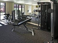 Modern fitness center featuring state-of-the-art gym equipment, free weights, and ample natural light.