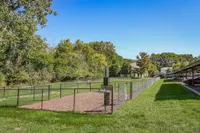 Dog Park