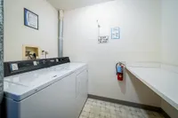 Dewberry - Laundry