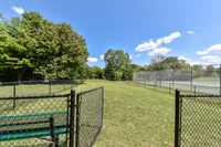 Dog Park