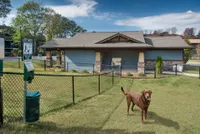 Dog Park