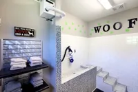 Pet Spa