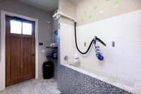 Pet Spa