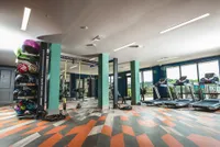 Modern gym with vibrant patterned flooring, equipped with treadmills, training gear, and large windows offering natural light and scenic views.